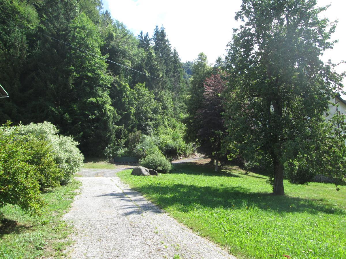 Schloss Manndorf Gaestehaus Kotschach-Mauthen Bagian luar foto